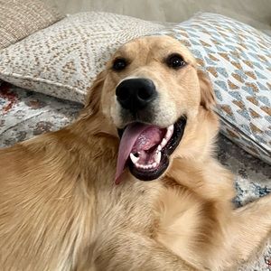 Meet your Posher, Thomas